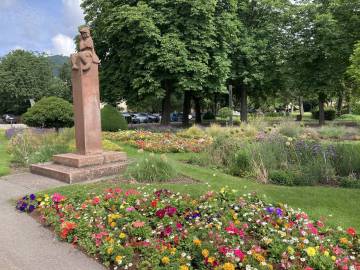 Jardin de Ville - Été 2020