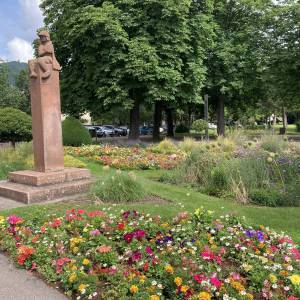 Décoration / Fleurissement