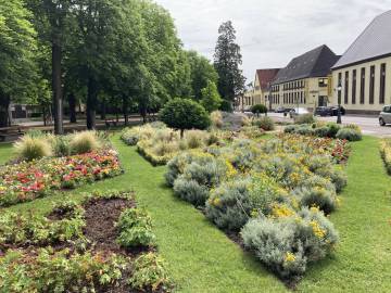 Jardin de Ville - Été 2020