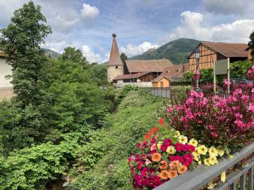 Tour des Cigognes - Été 2020