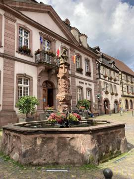 Place de l'Hôtel de Ville - Été 2020