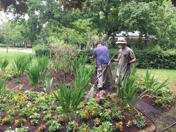 Jardin de Ville - Printemps 2020