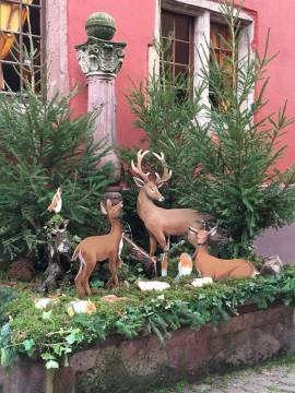 Fontaine du Cerf - Hiver 2019