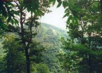 CLUB VOSGIEN - Randonnée Vosges du sud