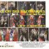Exposition Dominique LABURTE