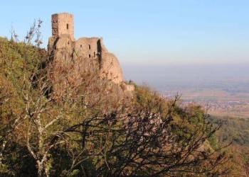 NETTOYAGE DES CHATEAUX