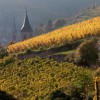 SOIREE VIN NOUVEAU - ANNULÉE