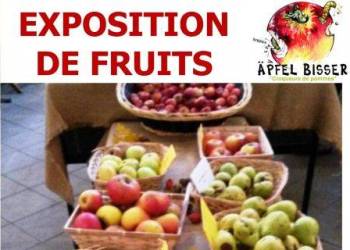 EXPOSITION DE FRUITS 