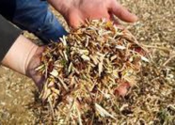 BROYAGE ET RÉCUPÉRATION DE BROYAT 