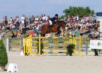 CONCOURS DE SAUTS D'OBSTACLES