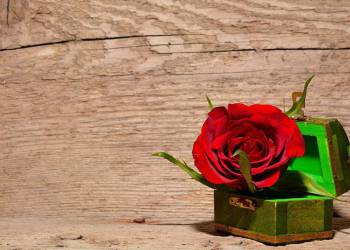 JEU DE PISTE DE LA ST VALENTIN