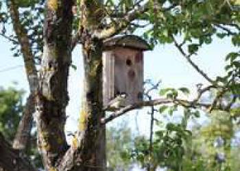 FÊTE DE L'ÉTÉ aux jardins partagés