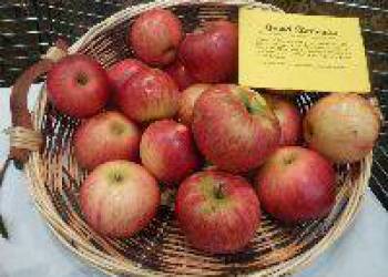 EXPOSITION DES APICULTEURS & ARBORICULTEURS