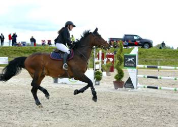 CENTRE EQUESTRE - Concours de sauts d'obstacles