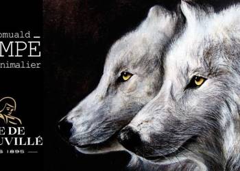 CAVE DE RIBEAUVILLE - Exposition Romuald CRAMPE