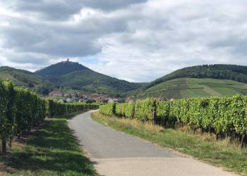 CLUB VOSGIEN-Rando-vélo électrique
