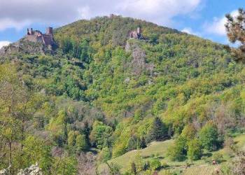 CHANTIER PARTICIPATIF AU BRUNNTAL