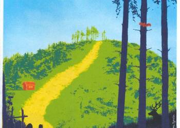 Résidence artistique autour du Brézouard