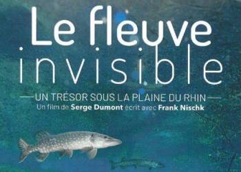 PROJECTION "Le Fleuve Invisible - Un Trésor sous la plaine du Rhin"