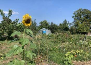 JARDIN PEDAGOGIQUE -  Journée découverte ANNULÉE