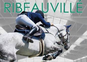 CENTRE EQUESTRE - In Jump club