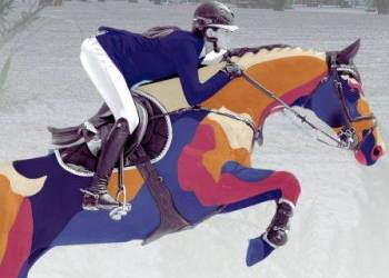CENTRE EQUESTRE - Concours de sauts d'obstacles indoor