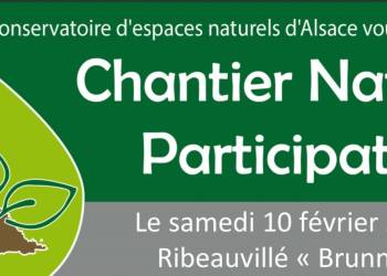 CHANTIER NATURE PARTICIPATIF