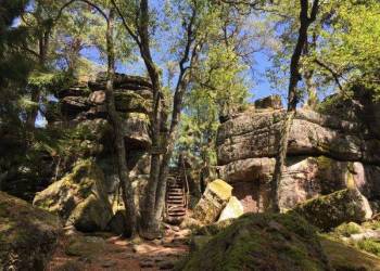 CLUB VOSGIEN : Randonnée