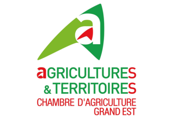 Elections CAA : Inscriptions électeurs individuels