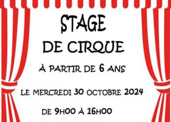 Stage de cirque par l'association CIRQUANIUM