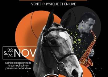 Vente aux enchères PG TEAM