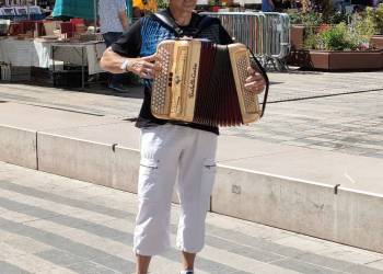 Animation musicale