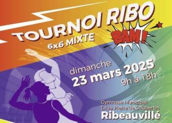 TOURNOI DE VOLLEY-BALL