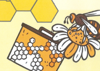 FÊTE DES MIELS DE FRANCE