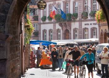 Annulation marché bio du mardi 11 novembre