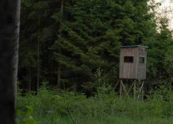 Chasse en forêt – Secteur des châteaux