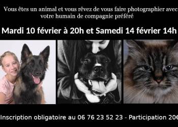 Et si votre animal prenait la pose avec son humain préféré ?