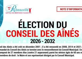 CONSEIL DES AÎNES : Appel à candidatures