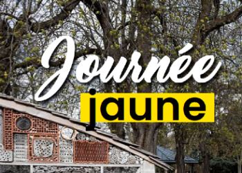 AMAELLES - JOURNÉE JAUNE