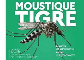 MOUSTIQUE TIGRE : Agissez avant d'être piqués !