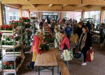 OPÉRATION "FLEURIR LA CITÉ"